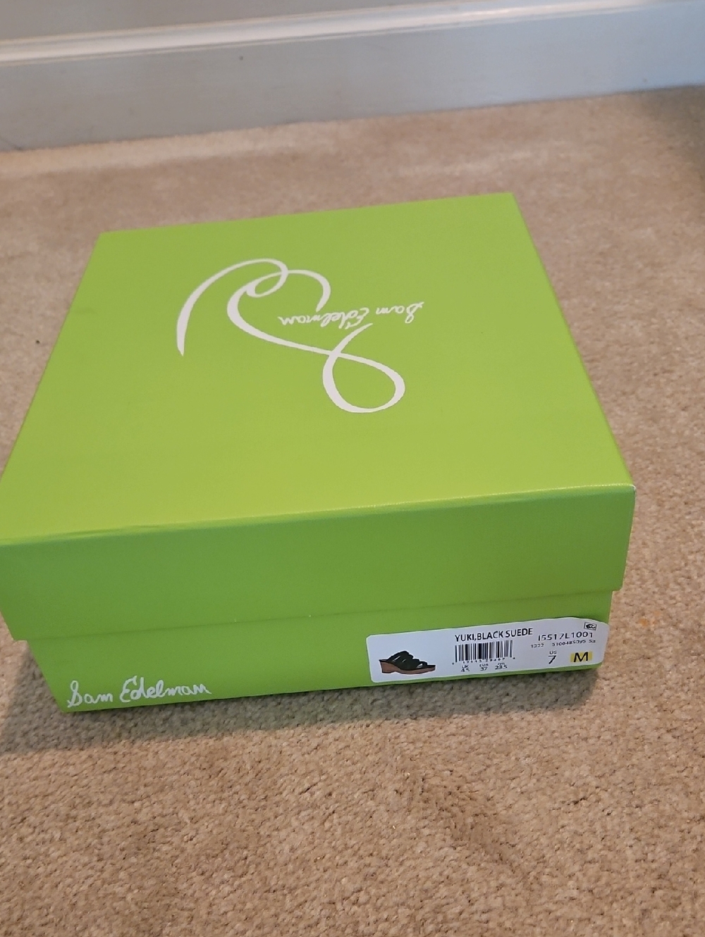 Sam Edelman Green Shoe Box